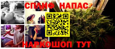 бошки Тверь