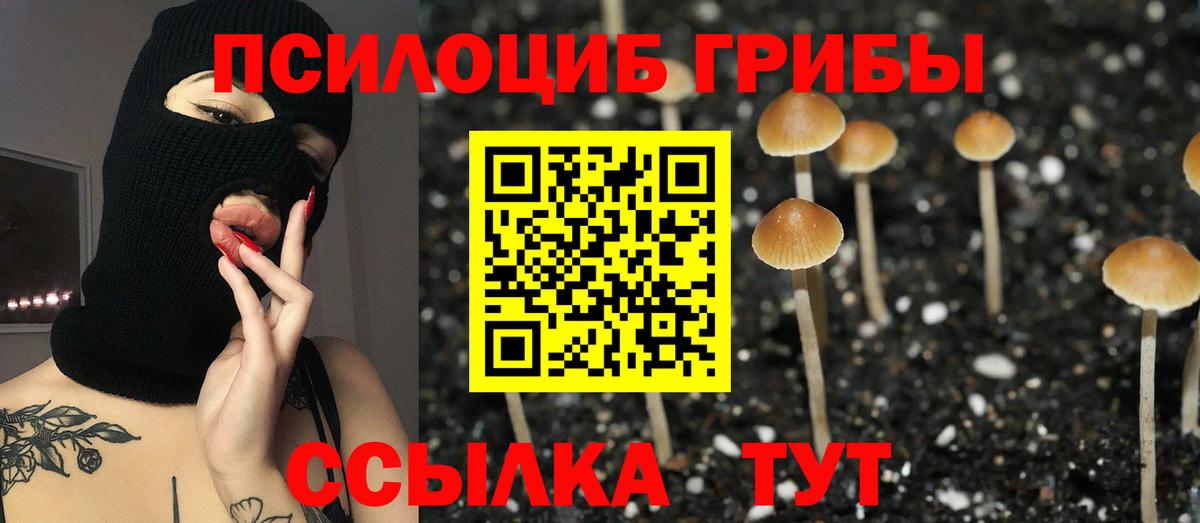 Мурманск  Галлюциногенные грибы MAGIC MUSHROOMS  Псилоцибиновые грибы мицелий  Вход с VPN 